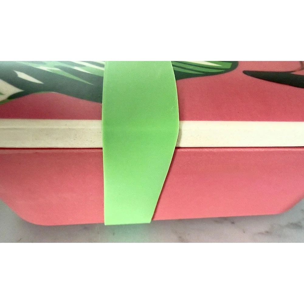 Flamingo Print Bento Lunch Box, All Boxed Up by Eco One